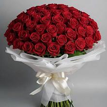 Букет 101 Красная роза Блэк Мэджик в Корсакове