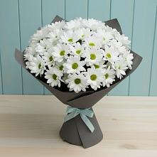 Букет цветов из:  Хризантемы #REPLACE_PRED# Корсакове