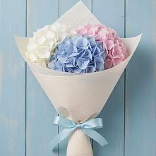 Букет цветов из:  Гортензия #REPLACE_PRED# Корсакове