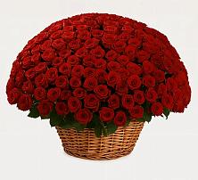 Премиум букет из: Розы в Корсакове